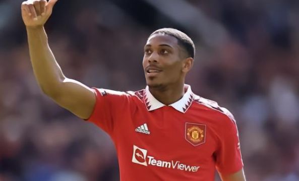 许多案例表 许多案例表